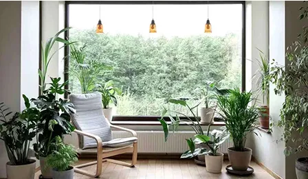 Windows & Doors